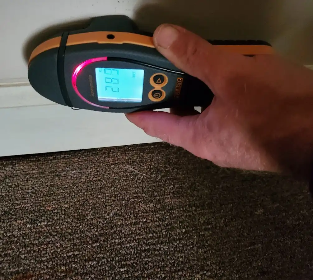 Moisture detection at baseboard during Sewage Cleanup & Sanitation in Keene